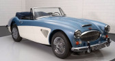 Austin healey 3000 occasion année 1965 boite Manuelle Annonce Austin healey 3000 occasion Essence MK3 | État concours Body-Off Restauré 1965 à Waalwijk